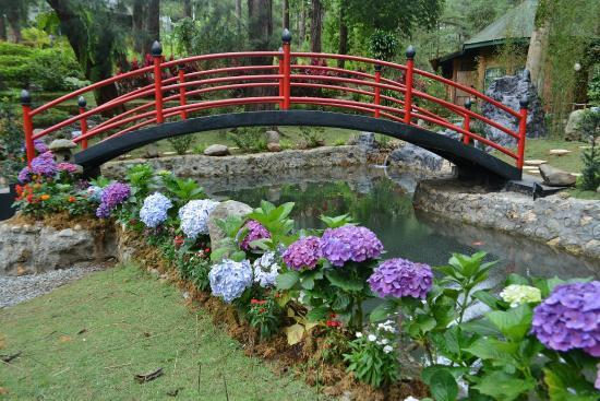 Baguio Botanical Garden
